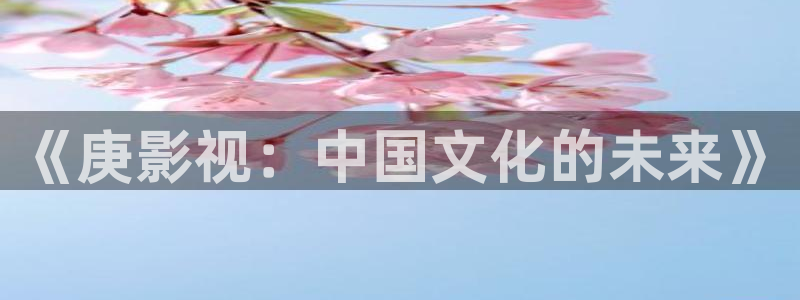 98超级碰：《庚影视：中国文化的未来》