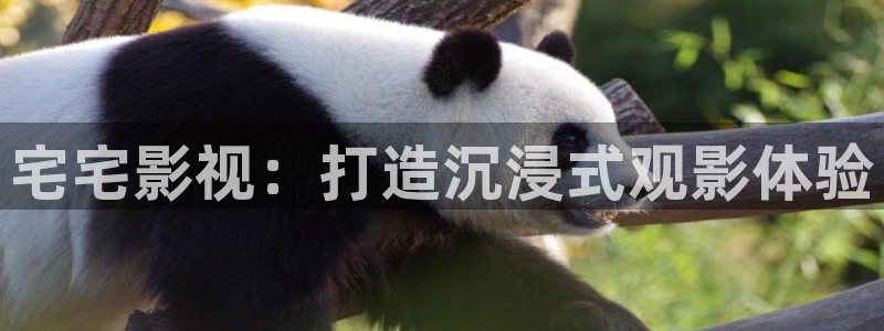 98在线高清：宅宅影视：打造沉浸式观影体验