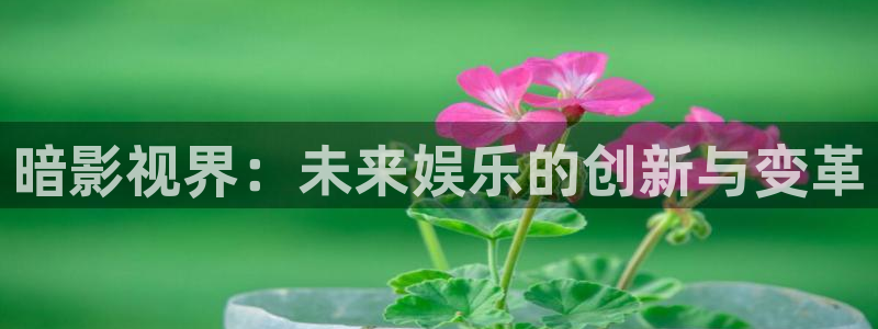 唐探1988免费观看高清完整版：暗影视界：未来娱乐的创新与变革