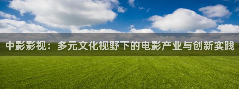 武松1982版hd免费观看：中影影视：多元文化视野下的电影产业与创新实践