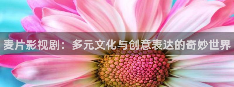 980影院：麦片影视剧：多元文化与创意表达的奇妙世界